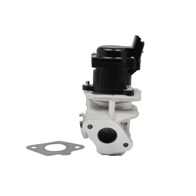 161859 OE 品質 EGR バルブ VW アマロックディーゼル PIERBURG:724809390